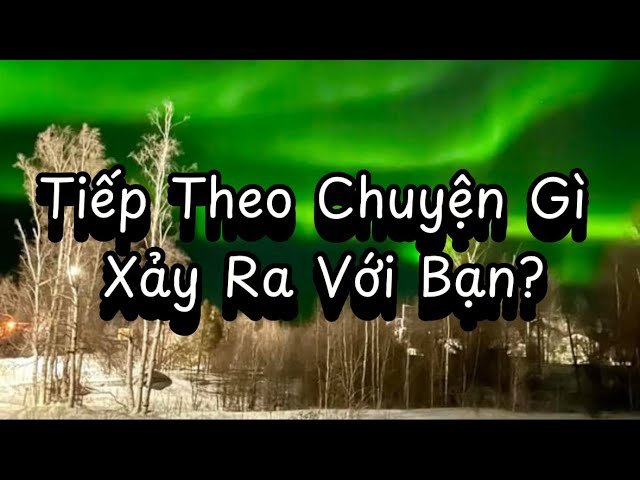 No momento, você está visualizando ✨🌻🍀Tiếp Theo Chuyện Gì Xảy Ra Với Bạn | Timeless Tarot Reading