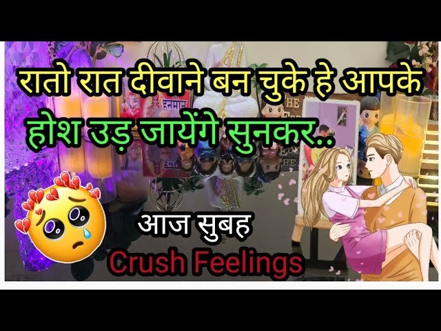 No momento, você está visualizando 💯 MORNING THOUGHTS 💔CURRENT FEELINGS OF YOUR CRUSH💕 NO CONTACT TIMELESS COLLECTIVE TAROT READING