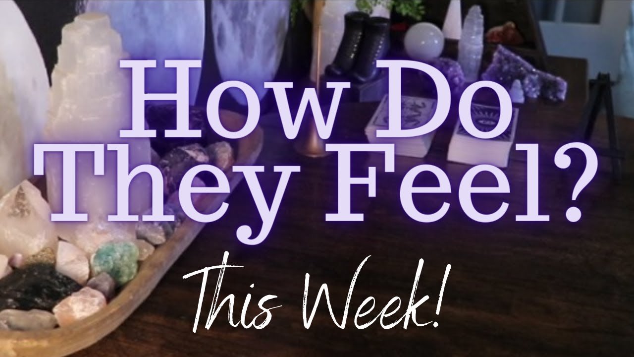 No momento, você está visualizando ALL SIGNS: Their FEELINGS For YOU This WEEK!!