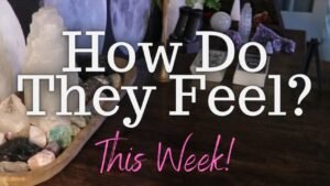 Leia mais sobre o artigo ALL SIGNS: Their FEELINGS For YOU This Week!!