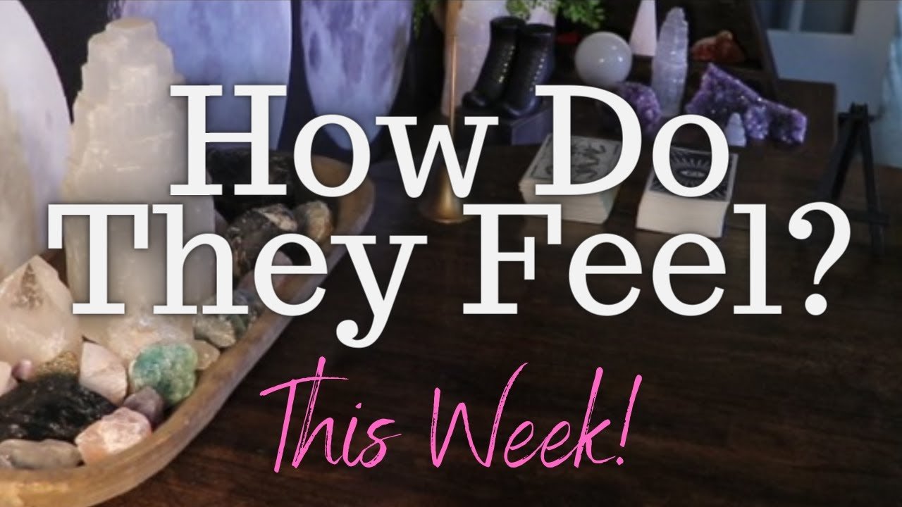 No momento, você está visualizando ALL SIGNS: Their FEELINGS For YOU This Week!!