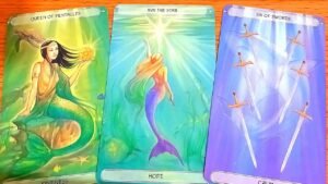 Leia mais sobre o artigo BẠN LUÔN LÀ BÔNG HOA ĐẸP NHẤT TRONG LÒNG AI / TAROT READING