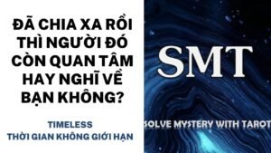Leia mais sobre o artigo Chọn tụ bài: Đã chia xa rồi thì người đó còn quan tâm hay nghĩ về bạn không? (TIMELESS)