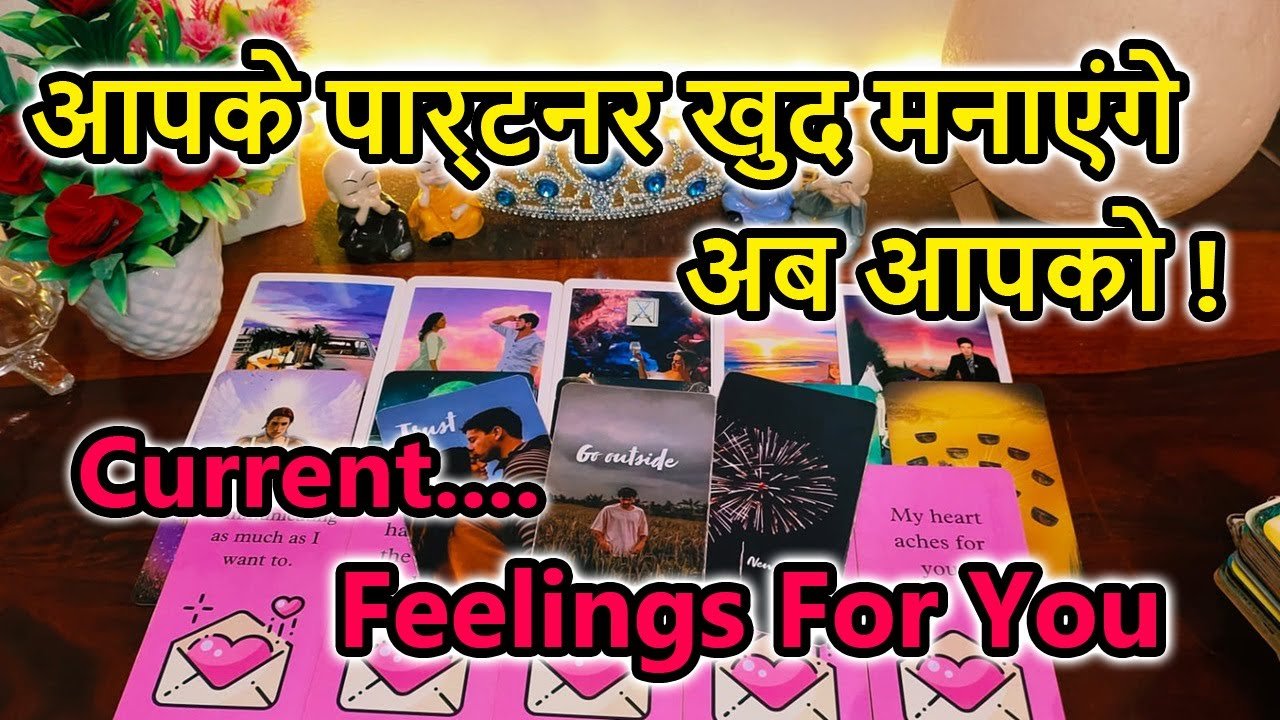 No momento, você está visualizando 😍Current Feeling💘Timeless Reading🌺Tarot Reading🥰Love Reading🌞Next Action🎯Today Reading💕