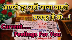 Leia mais sobre o artigo 😍Current Feeling💘Timeless Reading🌺Tarot Reading🥰Love Reading🌞Next Action🎯Today Reading💕