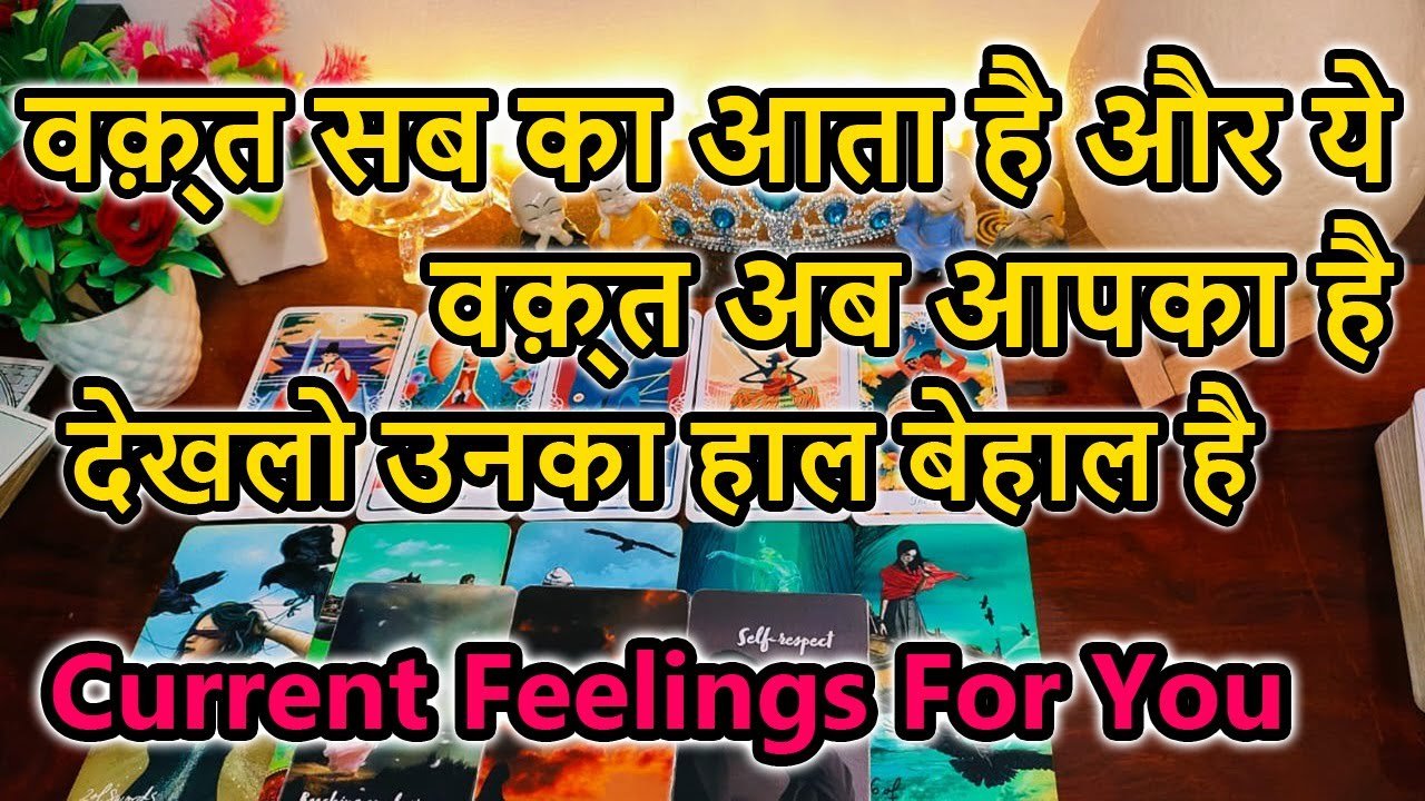 No momento, você está visualizando 😍Current Feeling💘Timeless Reading🌺Tarot Reading🥰Love Reading🌞Next Action🎯Today Reading💕