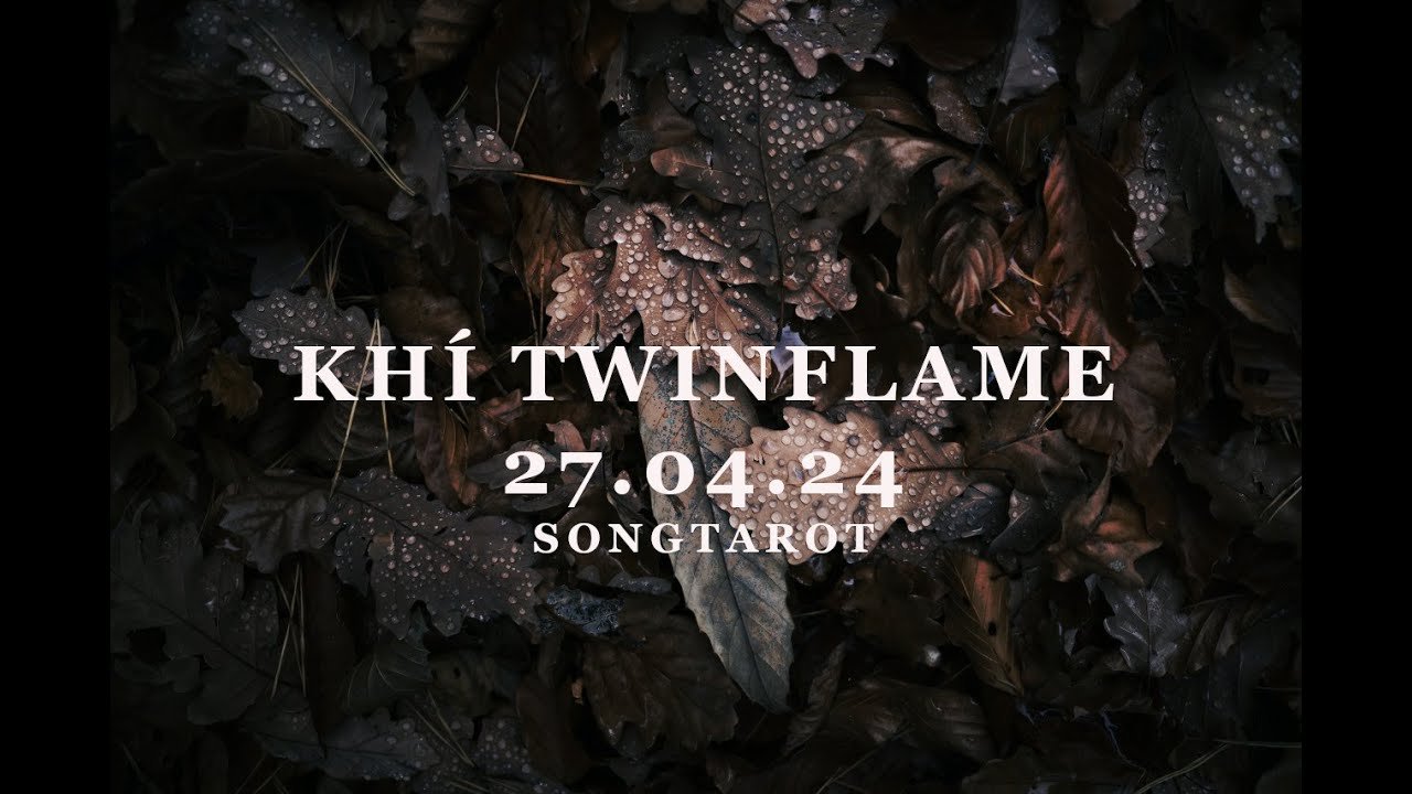 No momento, você está visualizando khí twinflame 27.04.2024