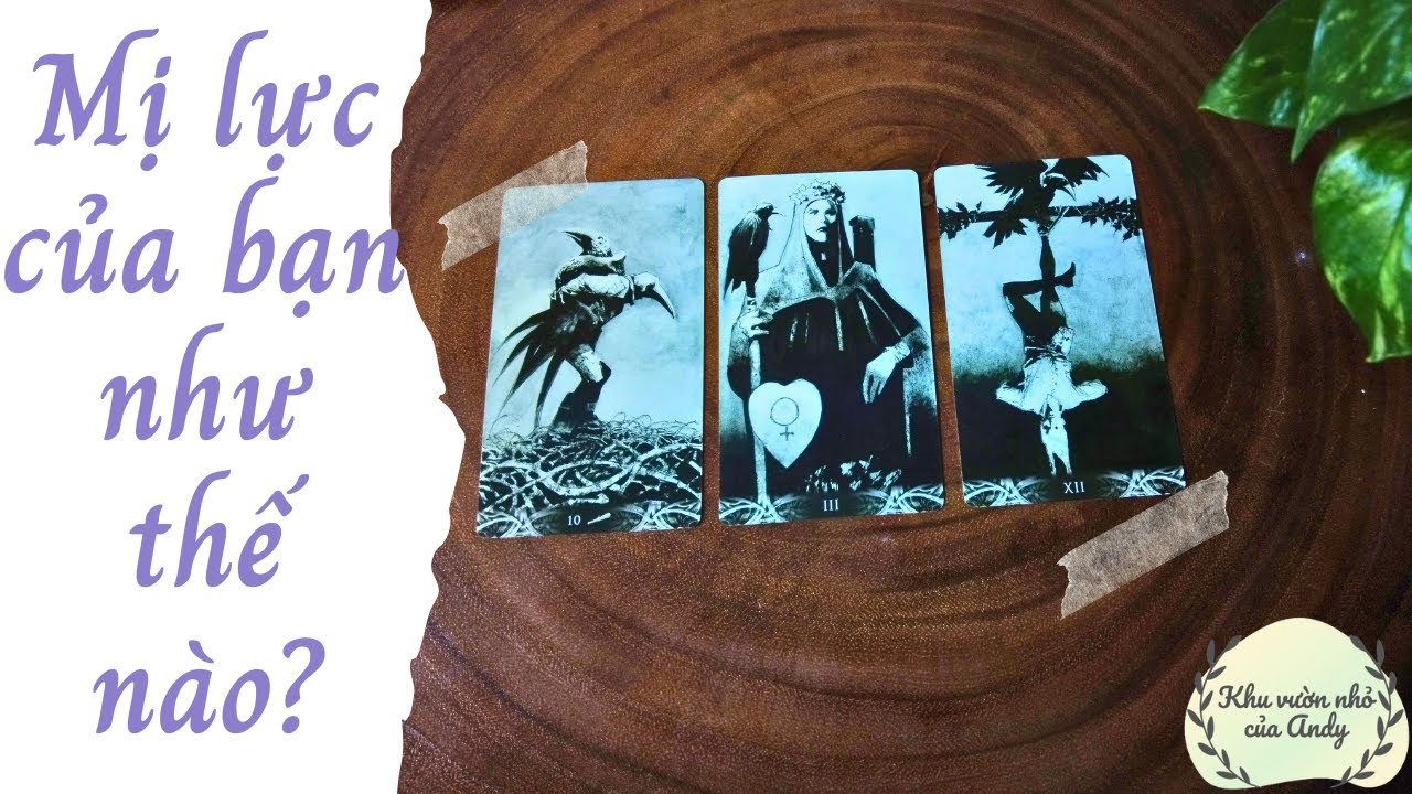 No momento, você está visualizando Mị lực của bạn như thế nào? {hiểu về sức hút bản thân} | Chọn 1 tụ bài | Xem tarot
