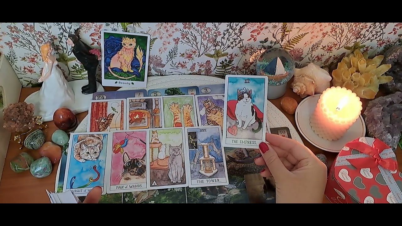 No momento, você está visualizando ⚡💯⚡Misli na vas i sljedi iznenadni dolazak‼️🔮Tarot citanje🔮