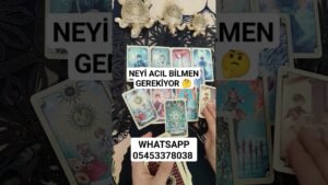 Leia mais sobre o artigo NEYİ ACIL BİLMEN GEREKIYOR 🤔 #kesfet #tarot #tarotreading #tarotenerjiyorumu #viral#kart #fenixtarot