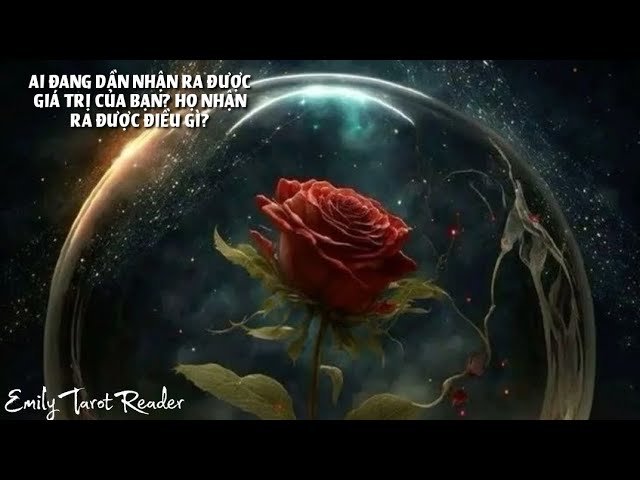 No momento, você está visualizando Tarot | 🌹 AI ĐANG DẦN NHẬN RA ĐƯỢC GIÁ TRỊ CỦA BẠN? HỌ NHẬN RA ĐƯỢC ĐIỀU GÌ?