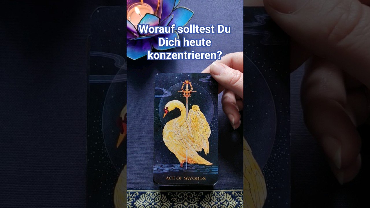 No momento, você está visualizando 29.05.| Worauf solltest Du Dich heute konzentrieren? #tagesbotschaft #tagesorakel #tarot