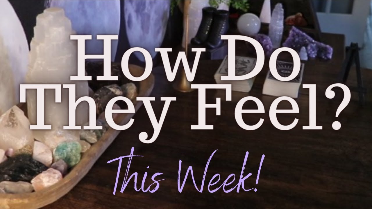 No momento, você está visualizando ALL SIGNS: Their Feelings For YOU This Week!!