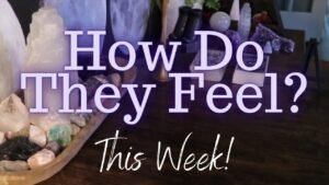 Leia mais sobre o artigo ALL SIGNS: Their Feelings For YOU This Week!!