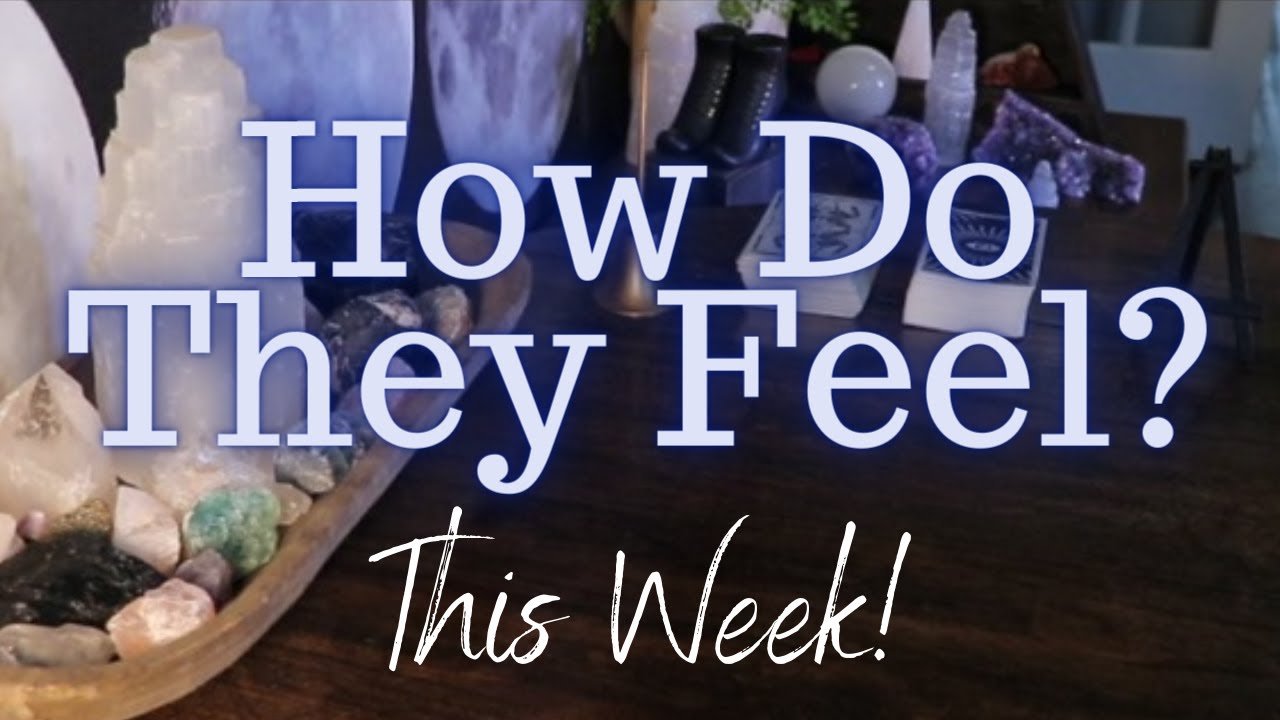 No momento, você está visualizando ALL SIGNS: Their FEELINGS For YOU This WEEK!