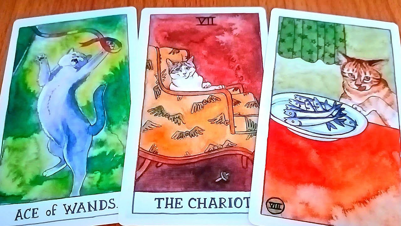 No momento, você está visualizando ÁNH SÁNG HAY BÓNG TỐI ĐANG CHỜ BẠN PHÍA TRƯỚC / TAROT READING