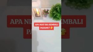 Leia mais sobre o artigo APA NIAT DIA KEMBALI PADAMU #tarot #general #tarotreader #soulmate #lovereading #shorts