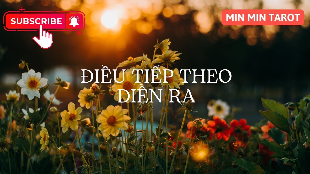 No momento, você está visualizando CHỌN 1 TỤ BÀI: ĐIỀU TIẾP THEO DIỄN RA