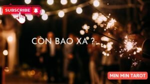 Leia mais sobre o artigo CHỌN 1 TỤ BÀI: CÒN BAO XA ?