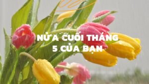 Leia mais sobre o artigo CHỌN 1 TỤ BÀI: NỬA CUỐI THÁNG 5 CỦA BẠN