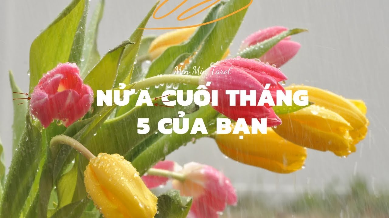 No momento, você está visualizando CHỌN 1 TỤ BÀI: NỬA CUỐI THÁNG 5 CỦA BẠN