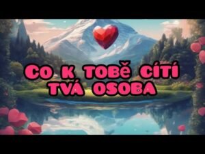 Leia mais sobre o artigo 🌹co k tobě cítí tvá osoba ? 🌹#výkladkaret