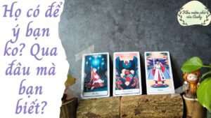 Leia mais sobre o artigo Họ có để ý bạn ko? Qua manh mối nào  để biết? {crush/chưa là gì/cây si} | Chọn 1 tụ bài | Xem tarot