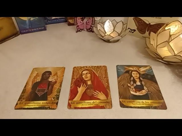 No momento, você está visualizando ✨🦋LA VERDAD SOBRE SUS SENTIMIENTOS 🦋✨ Tarot interactivo