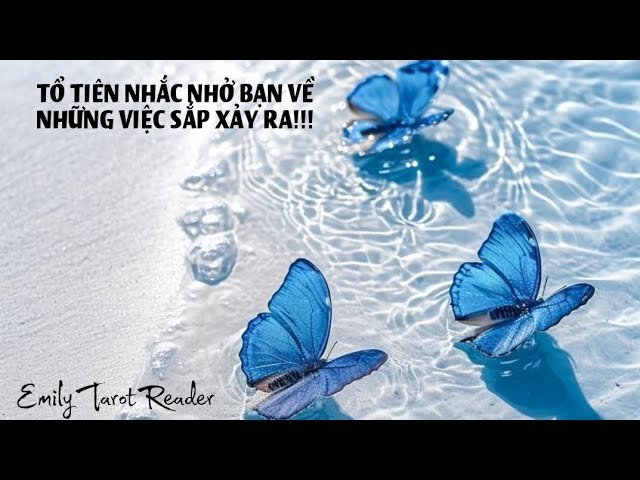 No momento, você está visualizando Tarot | 🦋 TỔ TIÊN NHẮC NHỞ BẠN VỀ NHỮNG VIỆC SẮP XẢY RA!!!