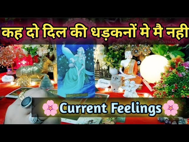 No momento, você está visualizando 🧿🍁कह दो एक बार दिल की धड़कन मे मै नहीं….. 🍁🧿Current Feelings Next Action 🌼Timeless Tarot 🌈
