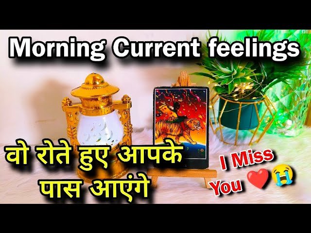 No momento, você está visualizando 😘❤️ MORNING THOUGHTS CURRENT FEELINGS OF YOUR PARTNER | HIS CURRENT FEELINGS | HINDI TAROT READING