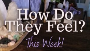 Leia mais sobre o artigo ALL SIGNS: Their Feelings For YOU This Week!