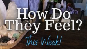 Leia mais sobre o artigo ALL SIGNS: Their FEELINGS For YOU This Week!!