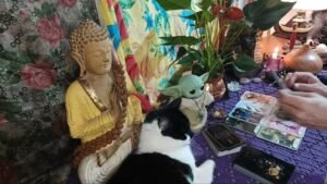 Leia mais sobre o artigo BABALON A DAMA ESCARLATE TEM UM RECADO PARA VOCÊ