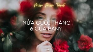 Leia mais sobre o artigo CHỌN 1 TỤ BÀI: NỬA CUỐI THÁNG 6 CỦA BẠN