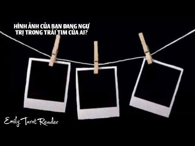 No momento, você está visualizando Tarot | 🖼️ HÌNH ẢNH CỦA BẠN ĐANG NGỰ TRỊ TRONG TRÁI TIM CỦA AI?