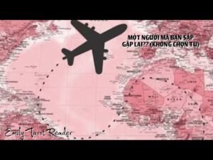 Leia mais sobre o artigo Tarot | (KHÔNG CHỌN TỤ) MỘT NGƯỜI MÀ BẠN SẮP GẶP LẠI??