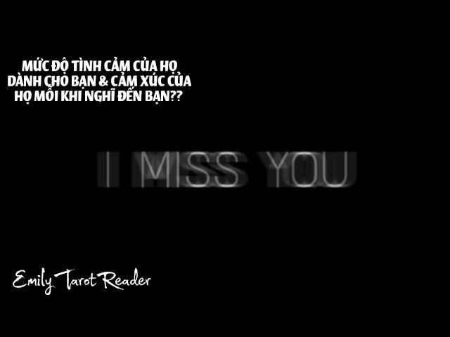 No momento, você está visualizando Tarot | MỨC ĐỘ TÌNH CẢM CỦA HỌ DÀNH CHO BẠN? & CẢM XÚC CỦA HỌ MỖI KHI NGHĨ ĐẾN BẠN?