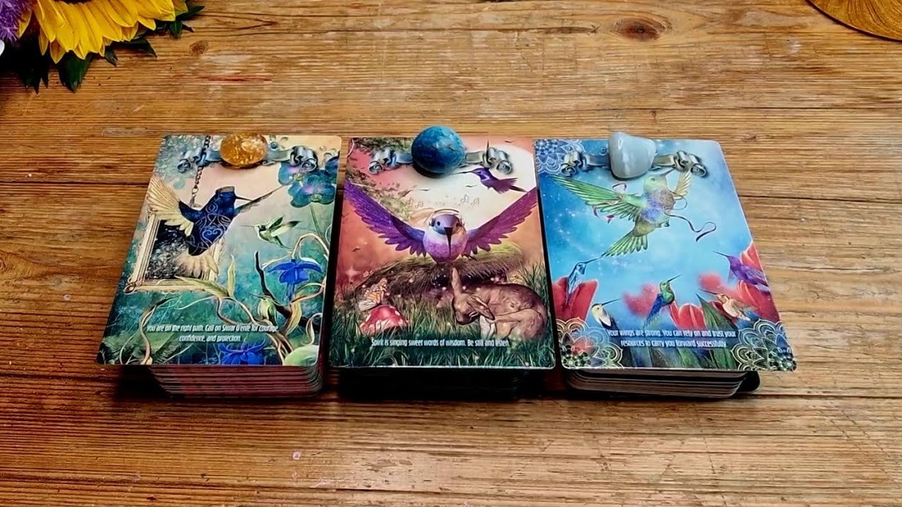 No momento, você está visualizando Výklad karet🃏Co se stane do 21 dní 🐦🦜🦩