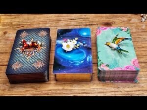 Leia mais sobre o artigo Výklad karet🃏Kam mě nyní vede moje cesta❤️