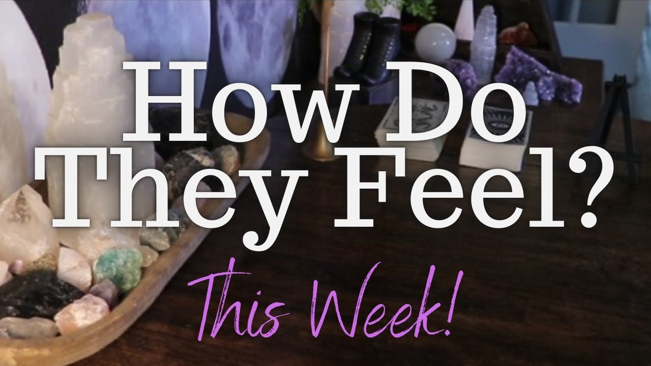 No momento, você está visualizando ALL SIGNS: Their FEELINGS For YOU This Week!!