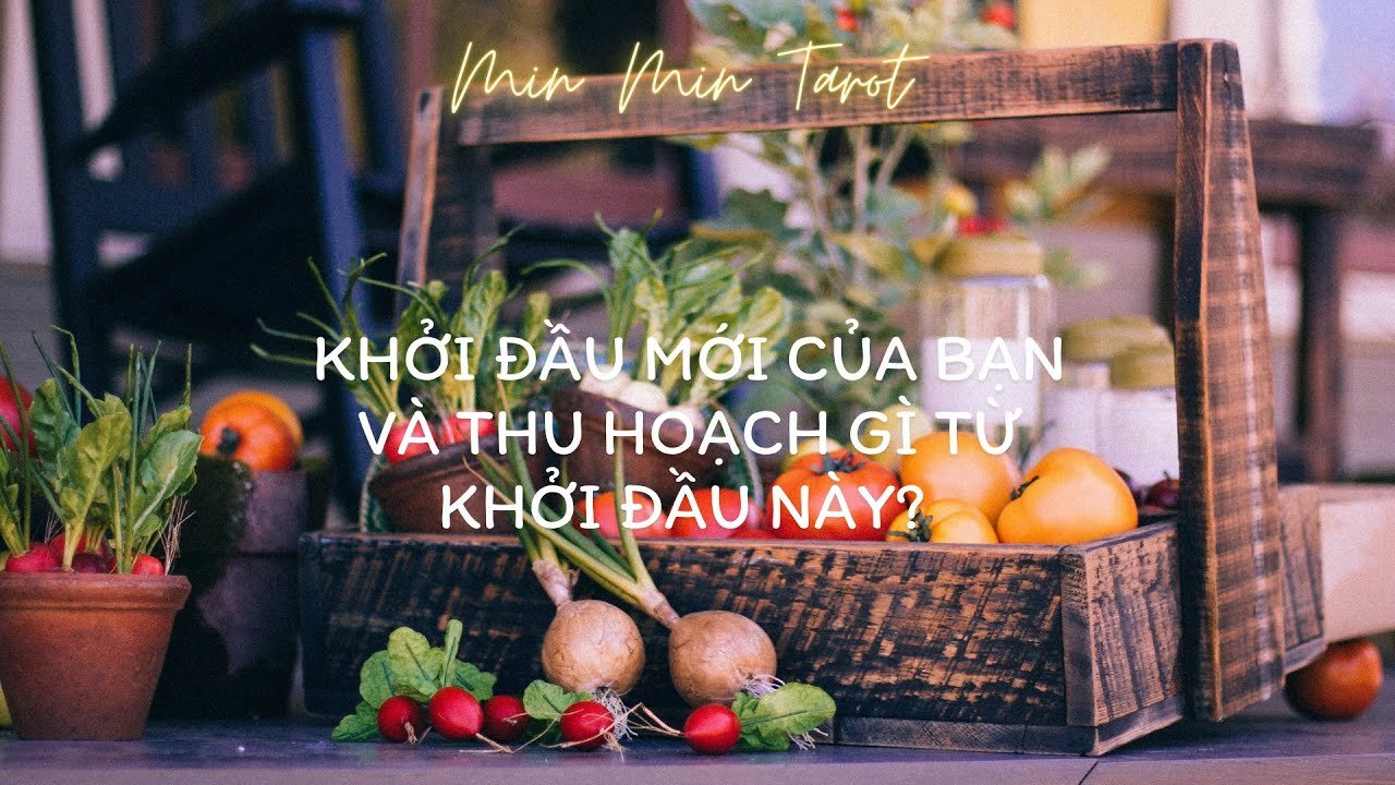 No momento, você está visualizando CHỌN 1 TỤ BÀI: KHỞI ĐẦU MỚI CỦA BẠN VÀ THU HOẠCH GÌ TỪ KHỞI ĐẦU NÀY?