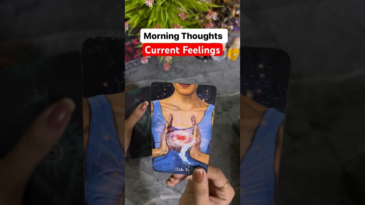 No momento, você está visualizando Current Feelings💕No Contact💯 ‎@0507    #tarot#shorts#ytshorts