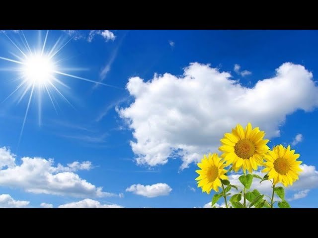 No momento, você está visualizando Điều tiếp theo diễn ra trong cuộc sống của bạn là gì- không chọn tụ