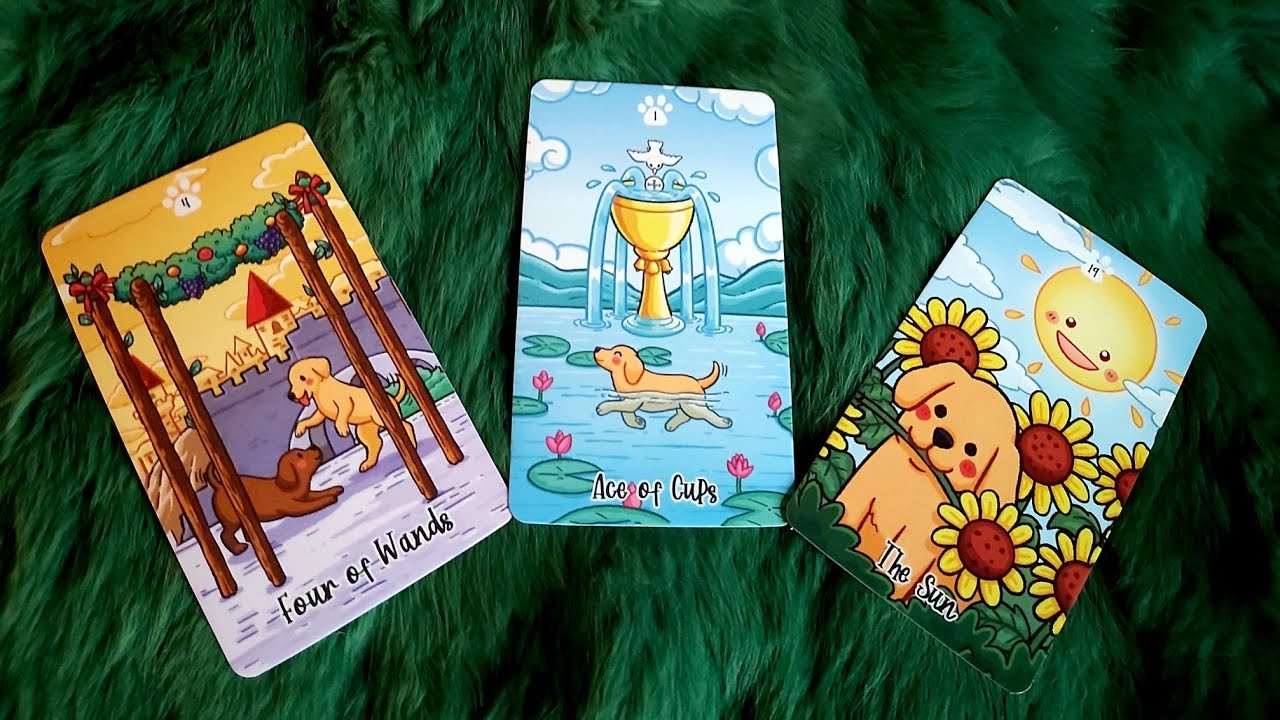 No momento, você está visualizando LỜI NÓI ĐÁY LÒNG HỌ MUỐN GỬI GẮM ĐẾN BẠN LÚC NÀY LÀ GÌ?  @EvelynTarot