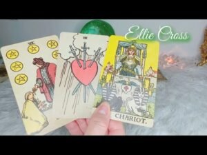 Leia mais sobre o artigo QUE PEDAZO DE LECTURA… ESTO QUE VIENE TE VA A VOLAR LA CABEZA‼️