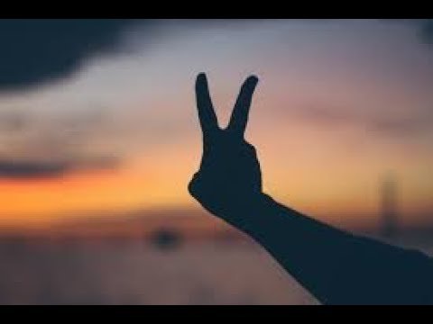 No momento, você está visualizando Trump Rally Incident – a tarot reading