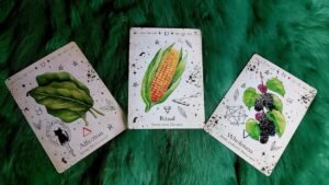 Leia mais sobre o artigo 🌱 MAY MẮN NÀO GÕ CỬA NHÀ BẠN TRONG 7 NGÀY TỚI (19/8-25/8/2024)@EvelynTarot