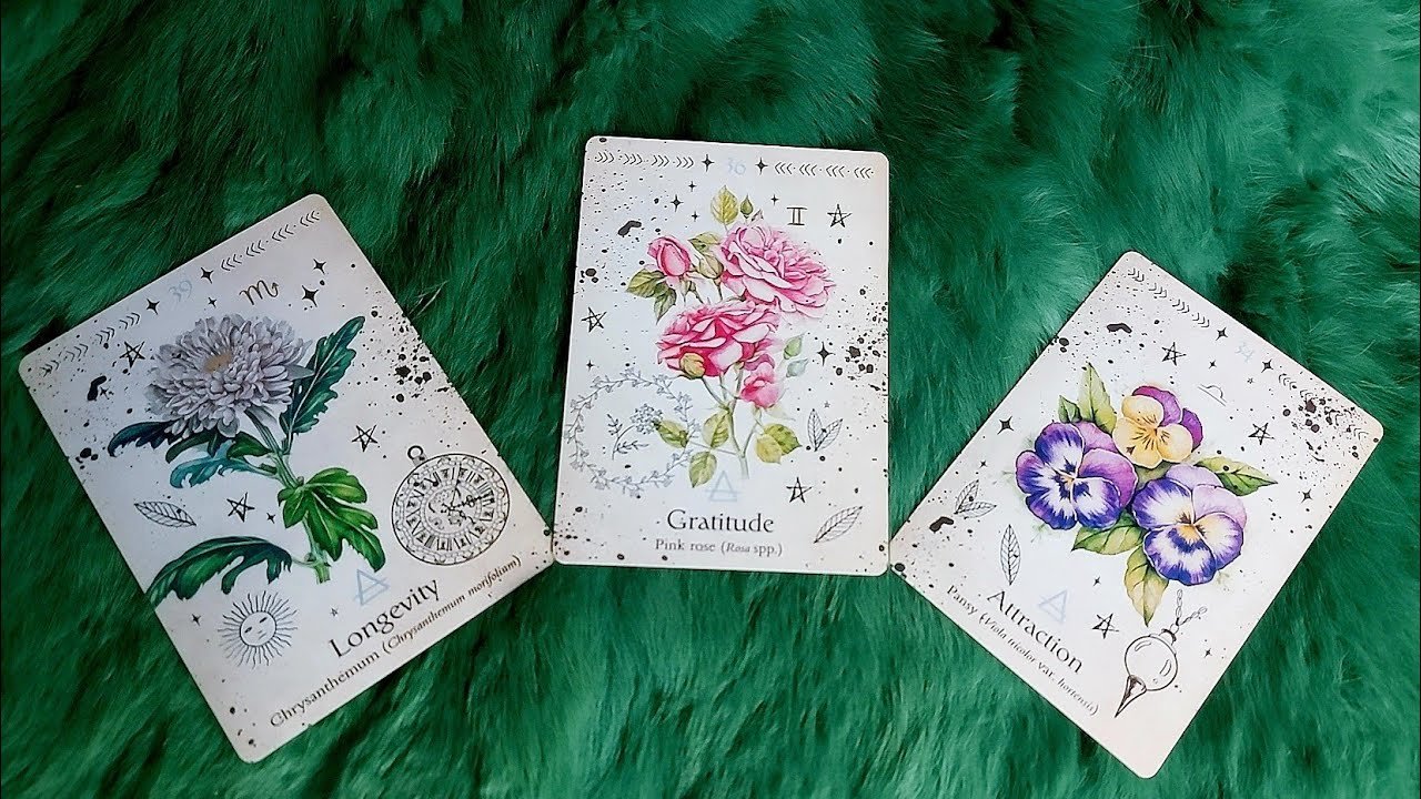 No momento, você está visualizando 🍇 NIỀM VUI NÀO SẼ ĐẾN VỚI BẠN TRONG 7 NGÀY TỚI (5/8-11/8/2024)@EvelynTarot