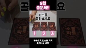 Leia mais sobre o artigo 9월 총운!! 🤠🥳🤗 #shorts #tarot #tiktok #소름타로 #타로 #운세 #9월 #9월운세